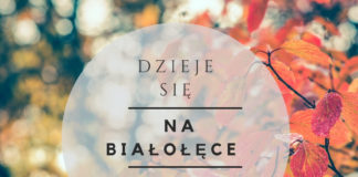 bezpłatne imprezy na Białołęce