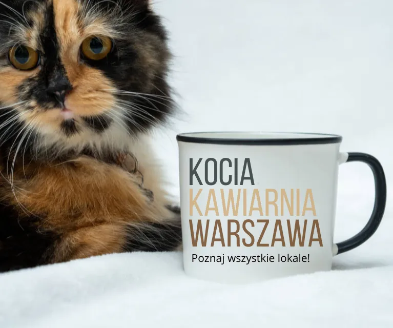 Kocia Kawiarnia Warszawa, fot. zawar.zawara / Vista