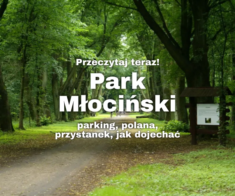 Park Młociński, fot. Wojtek S. / Wikimedia Commons